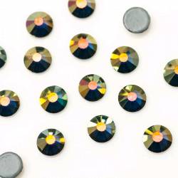 STRASS SKATEPASSION - MONTANA AB 16SS (1440)